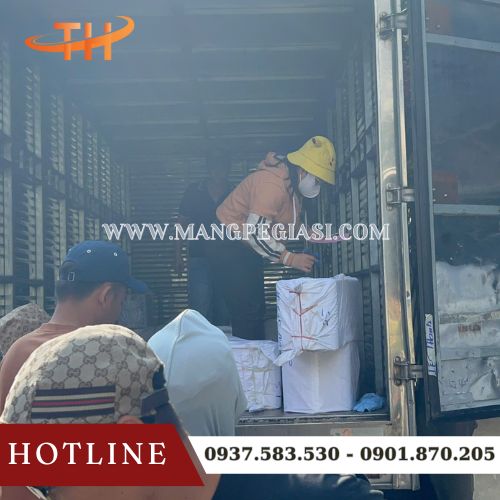 Hoạt động giao băng keo các loại mỗi ngày tại kho sỉ Thu Hồng Hoạt động giao băng keo các loại mỗi ngày tại kho sỉ Thu Hồng