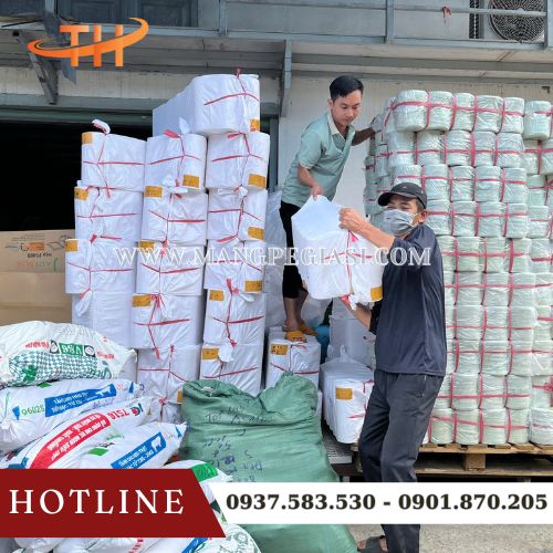 Hoạt động giao băng keo trong giá sỉ tận nơi Hoạt động giao băng keo trong giá sỉ tận nơi