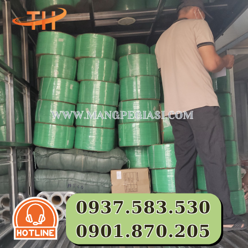 Hoạt động giao dây đai nhựa PP tại Thu Hồng Hoạt động giao dây đai nhựa PP tại Thu Hồng
