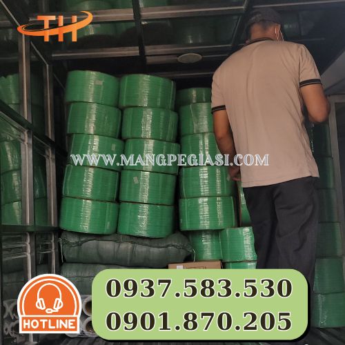 Hoạt động giao dây đai PP mỗi ngày tại Thu Hồng Hoạt động giao dây đai PP mỗi ngày tại Thu Hồng