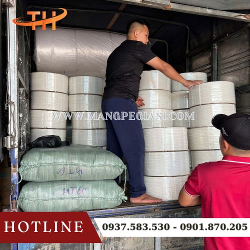 Hoạt động giao dây đai PP tại Thu Hồng Hoạt động giao dây đai PP tại Thu Hồng