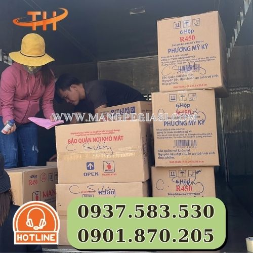 Hoạt động giao giấy nến tại Thu Hồng Hoạt động giao giấy nến tại Thu Hồng