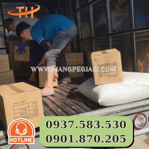 Hoạt động giao màng PE cho doanh nghiệp Hoạt động giao màng PE cho doanh nghiệp