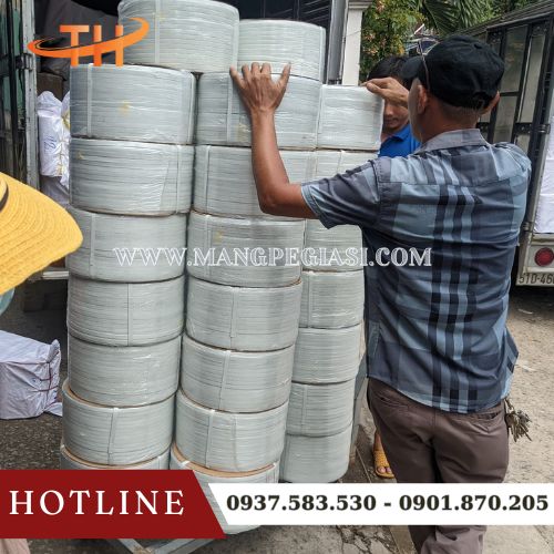 Hoạt động giao sỉ 100 cuộn dây đai tận nơi cho khách Hoạt động giao sỉ 100 cuộn dây đai tận nơi cho khách