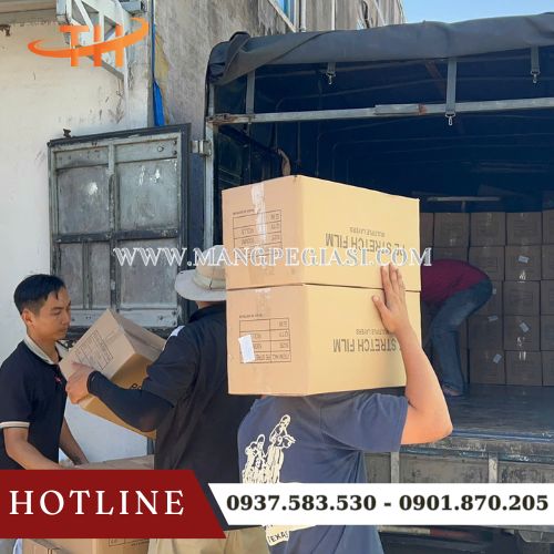 Hoạt động giao sỉ màng PE tận nơi tại Thu Hồng Hoạt động giao sỉ màng PE tận nơi tại Thu Hồng