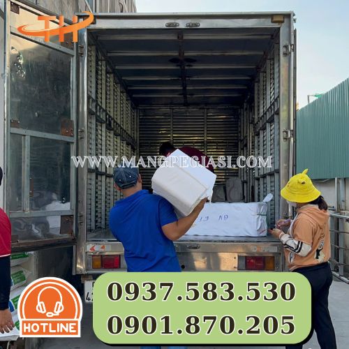 Hoạt động lên hàng băng keo đi giao hằng ngày Hoạt động lên hàng băng keo đi giao hằng ngày