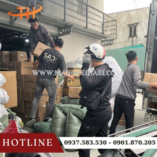 Hoạt động soạn giao màng PE tận nơi TPHCM Hoạt động soạn giao màng PE tận nơi TPHCM