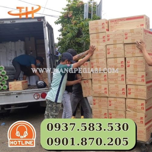 Lên hàng và giao băng keo non Tombo 9082 cho khách Lên hàng và giao băng keo non Tombo 9082 cho khách