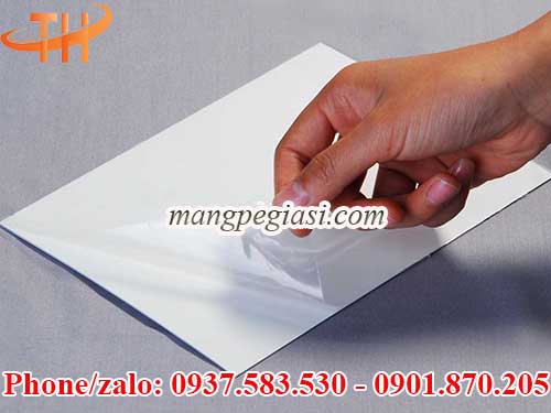 Màng bảo vệ bề mặt giá sỉ