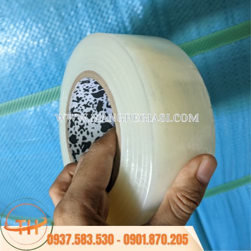 Màng bảo vệ chống trầy trong suốt Màng bảo vệ chống trầy trong suốt