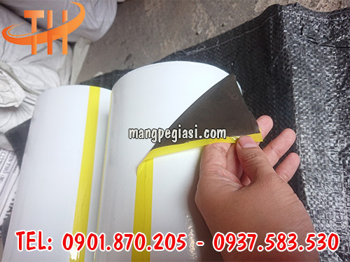 Màng bảo vệ màu trắng đen