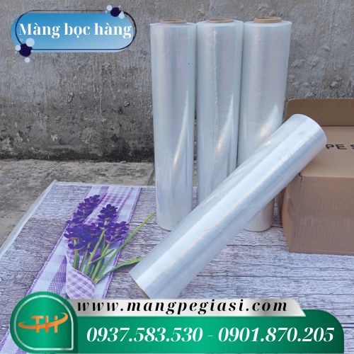 Màng Pe bảo vệ chống nấm mốc