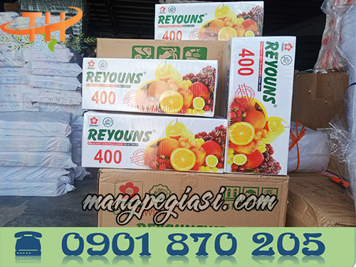 Màng bọc thực phẩm Reyouns 400
