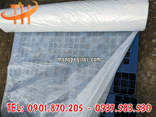 Màng nilon công trình