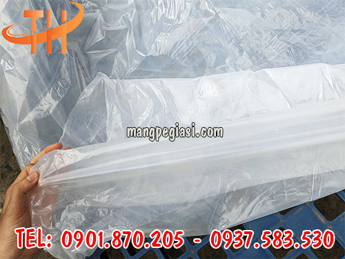 Màng nhựa pe công trình