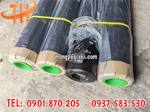 Màng pe công trình