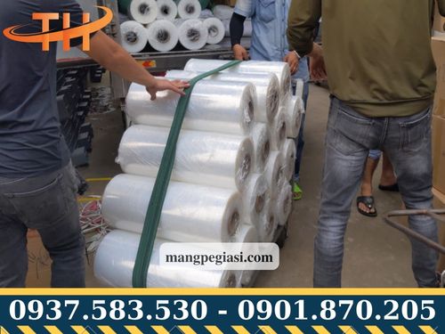 Màng PE bọc hàng mua ở đâu
