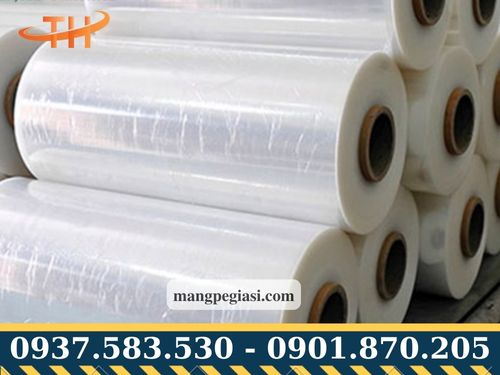 Màng PE cuộn lớn