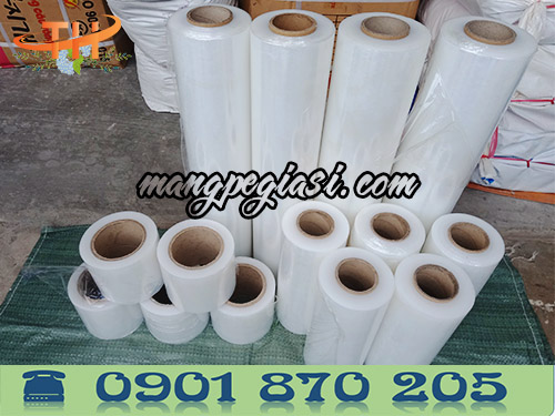 Màng pe trong suốt các kích cỡ được dùng phổ biến