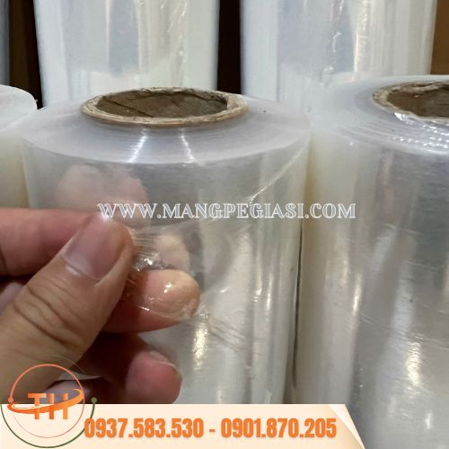 Màng PE trong suốt chất lượng Màng PE trong suốt chất lượng