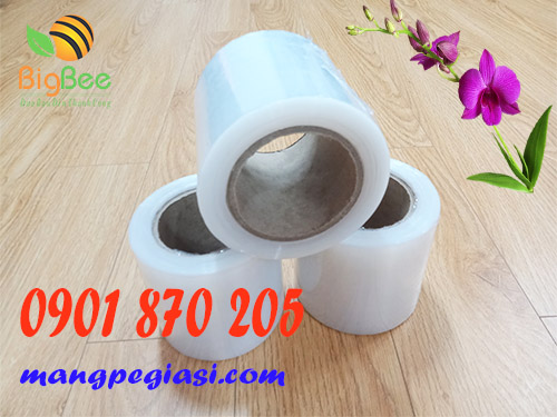 Cuộn màng PE khổ 10cm dùng bọc cây ăn quả