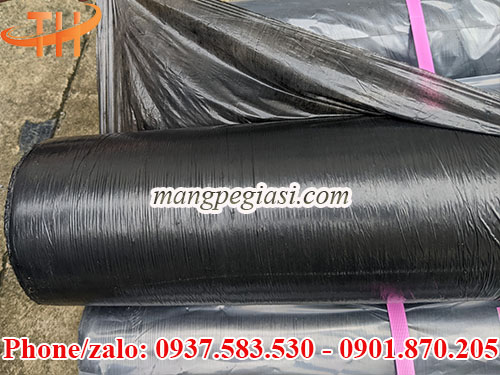 Màng công trình giá rẻ