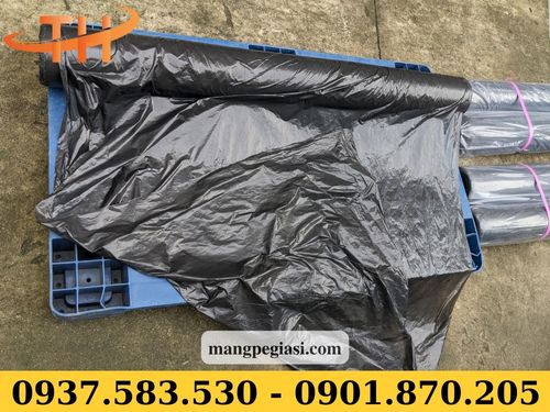 Màng nhựa công trình