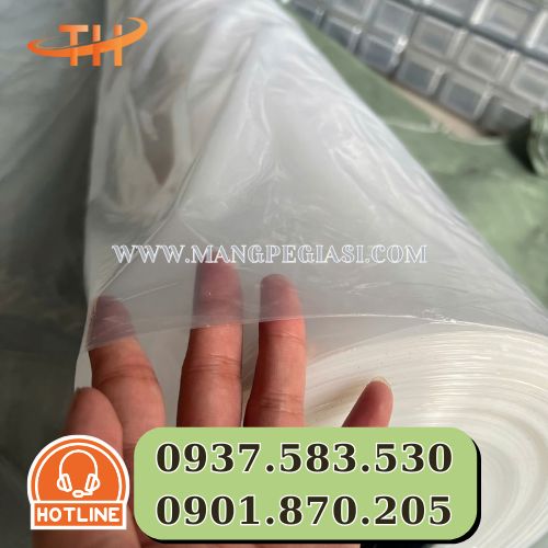 Màng phủ nhà kính giúp cây trồng phát triển thuận lợi Màng phủ nhà kính giúp cây trồng phát triển thuận lợi