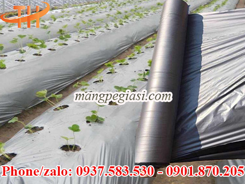 Màng phủ nông nghiệp giá rẻ