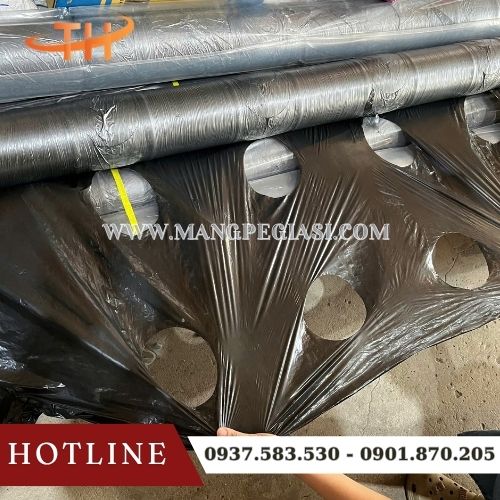 Màng phủ nông nghiệp có lỗ đục sẵn Màng phủ nông nghiệp có lỗ đục sẵn