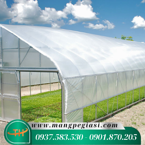 Ảnh minh họa: Sản phẩm nhà kính nông nghiệp