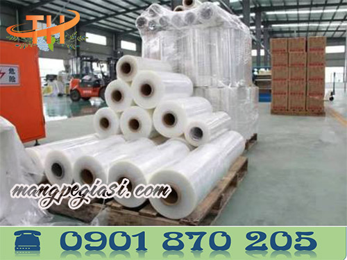 Xưởng sản xuất màng pe