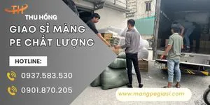 Giao sỉ màng PE hàng sẵn kho số lượng lớn, đủ kích thước