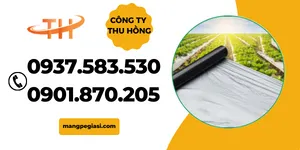 MÀNG PHỦ NÔNG NGHIỆP GIÁ SỈ RẺ CHẤT LƯỢNG