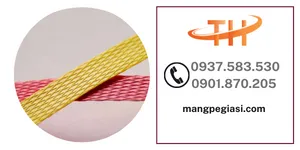 Dây đai nhựa đóng kiện hàng giá sỉ rẻ tại Bình Dương