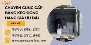 Chuyên cung cấp băng keo đóng hàng giá ưu đãi