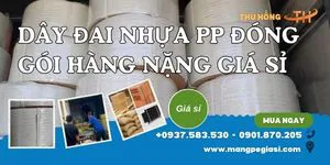Dây đai nhựa PP đóng kiện hàng nặng giá sỉ