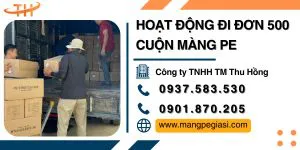 Đi đơn 500 cuộn màng PE chất lượng giá tốt cho đại lý