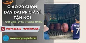 Giao 20 cuộn dây đai PP buộc hàng giá sỉ tận nơi