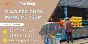 Giao 200 cuộn màng PE 75cm cho khách đại lý