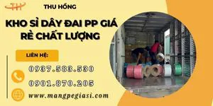 Kho sỉ dây đai nhựa PP chất lượng giá rẻ giao tận nơi