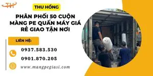 Phân phối 50 cuộn màng PE khổ lớn quấn máy giá rẻ giao tận nơi