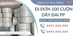 Đi đơn 100 cuộn dây đai PP hàng sẵn kho giá đại lý