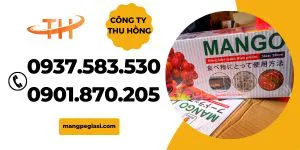Màng bọc thực phẩm pe và pvc khác nhau như thế nào?