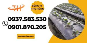 Màng phủ nông nghiệp 2m chống cỏ giá rẻ TP.HCM