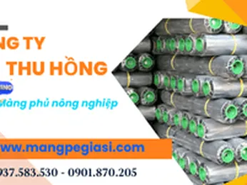 Nhà phân phối màng phủ nông nghiệp tại Vĩnh Lộc B