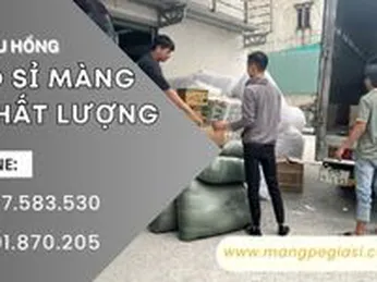 Giao sỉ màng PE hàng sẵn kho số lượng lớn, đủ kích thước