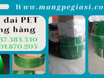 Bán dây đai nhựa Pet phụ kiện đóng gói giá sỉ