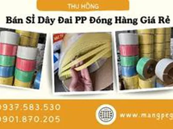 Bán sỉ dây đai PP đóng hàng siêu chắc siêu bền giá rẻ