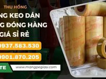Băng keo dán thùng đóng hàng giá sỉ rẻ